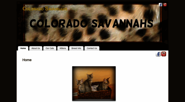 coloradosavannahs.com