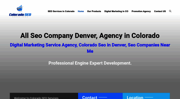 coloradoseoservices.net