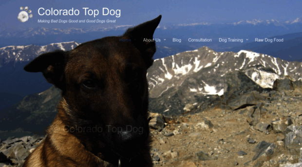 coloradotopdog.com