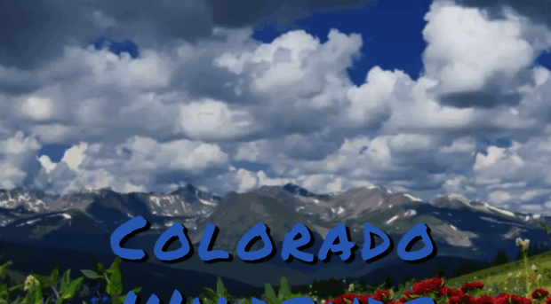 coloradowildbuds.com