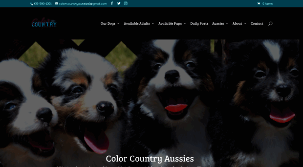 colorcountryaussies.com