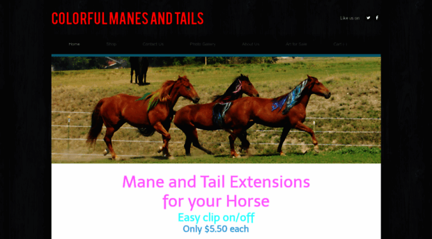 colorfulmanesandtails.com