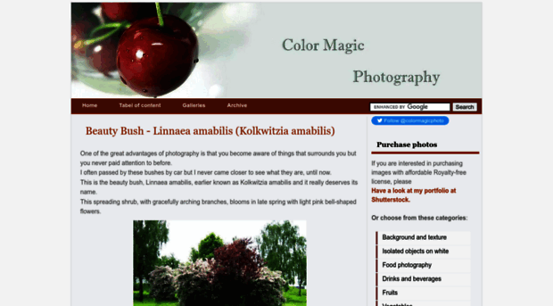 colormagicphotography.com
