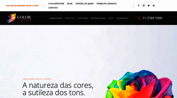 colorsystem.com.br