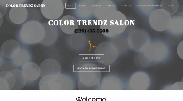 colortrendzsalon.com