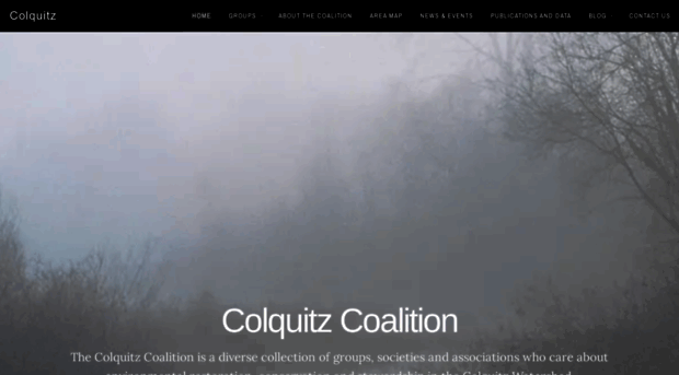 colquitzcoalition.com