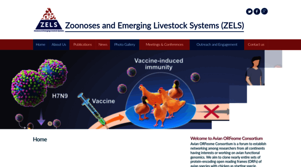 combating-avian-influenza.com