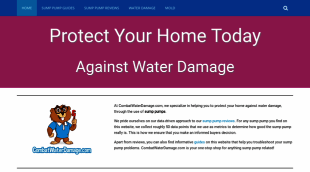 combatwaterdamage.com