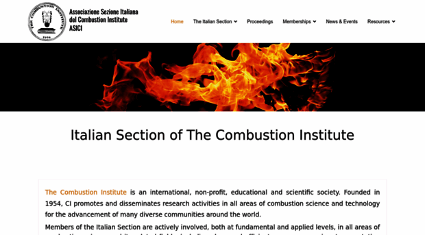 combustion-institute.it