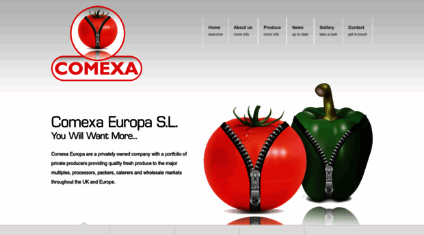 comexaeuropa.com