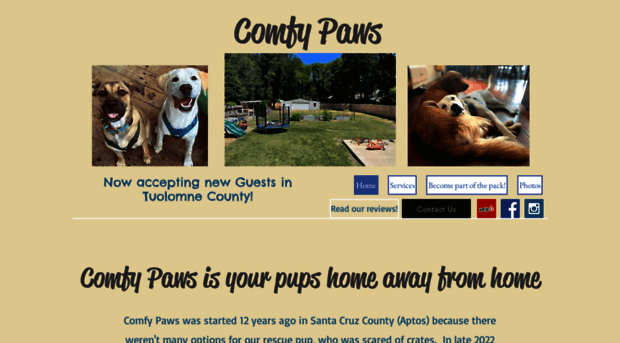 comfypawsboarding.com