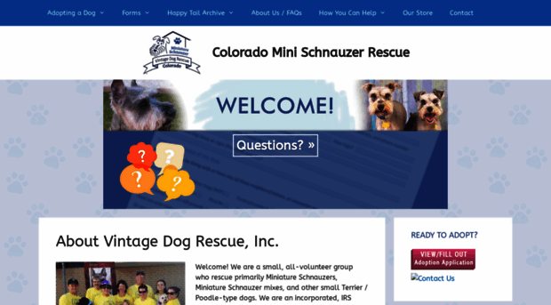 cominischnauzerrescue.com