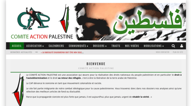 comiteactionpalestine.org