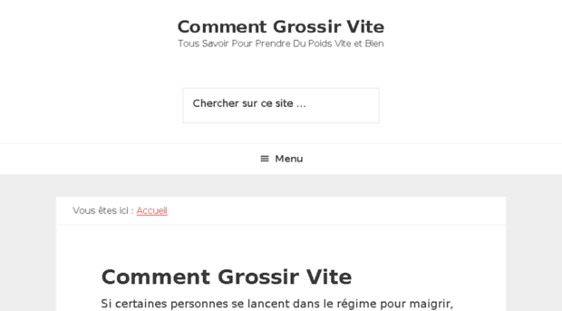 comment-grossir-vite.com