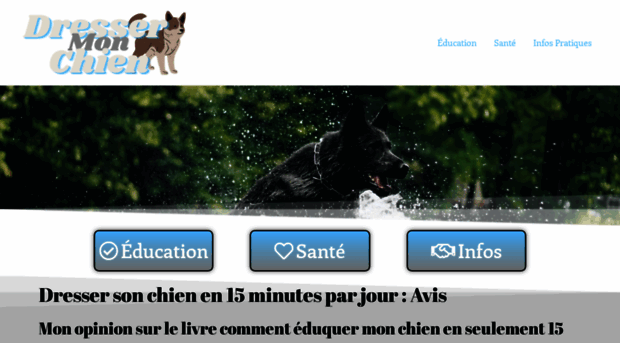 commentdressermonchien.fr