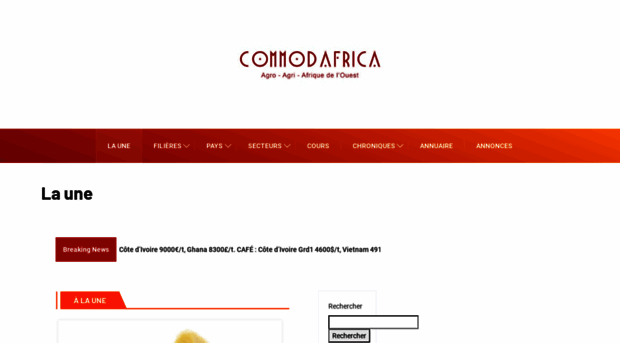 commodafrica.com