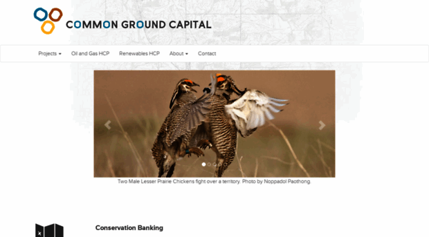 commongroundcapital.com