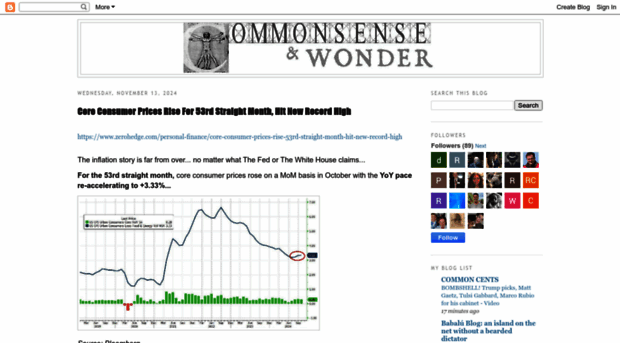 commonsensewonder.blogspot.com