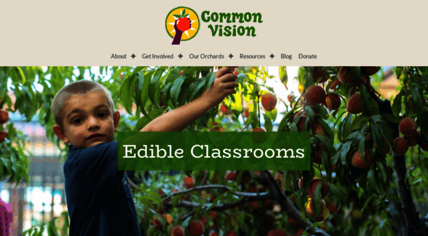 commonvision.org