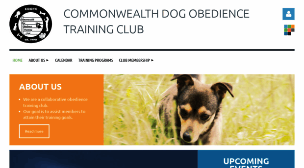 commonwealthdogtraining.com