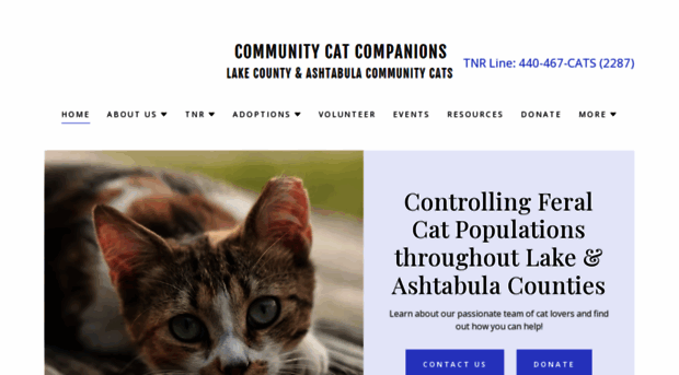 community-cat-companions.org