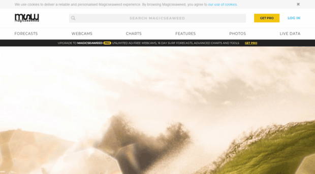 community.magicseaweed.com