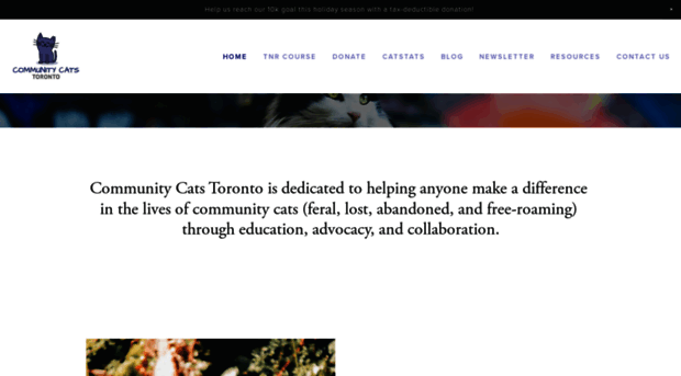 communitycats.ca