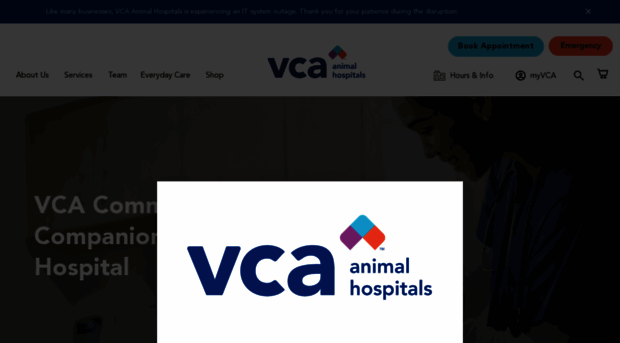 communitycompanionanimalhospital.com