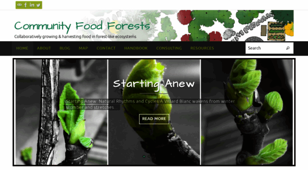 communityfoodforests.com