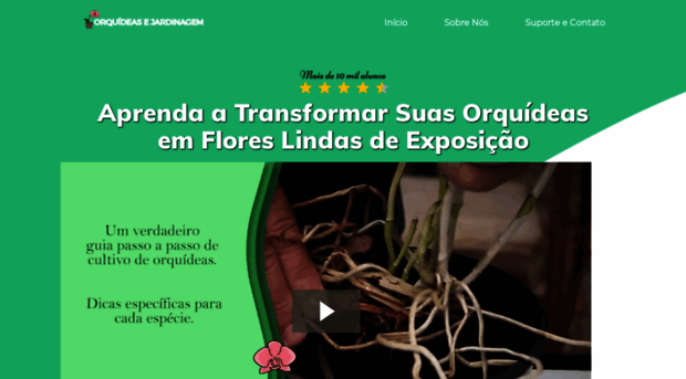 comocuidardeorquideas.com