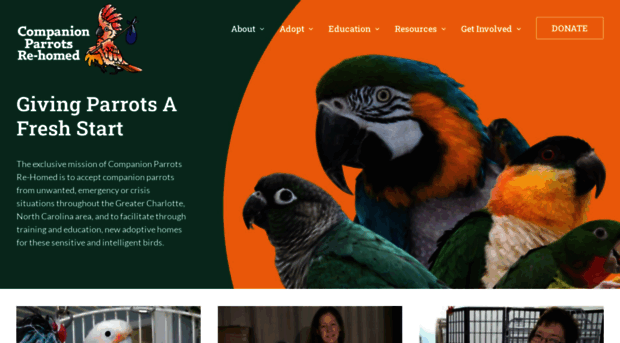 companionparrots.org