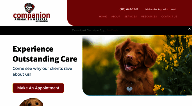 companionrn.com