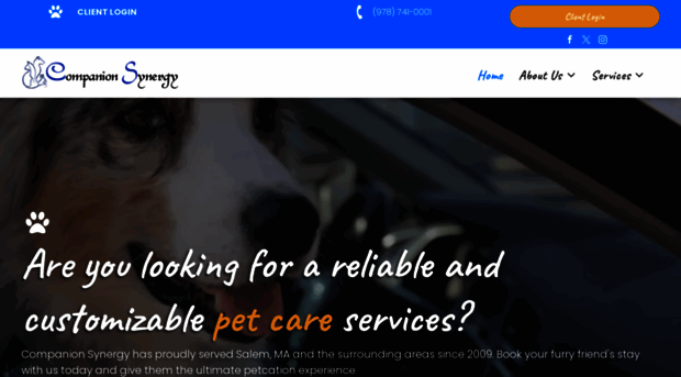 companionsynergy.com