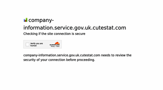 company-information.service.gov.uk.cutestat.com