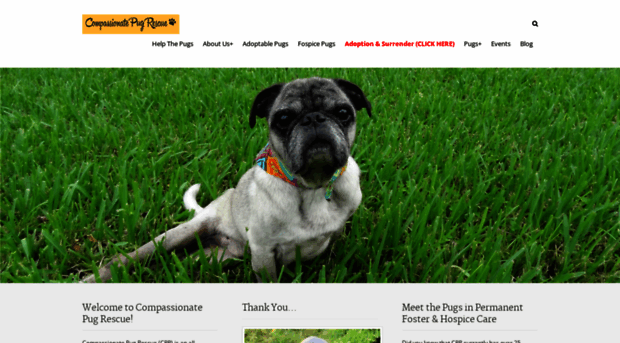 compassionatepugrescue.com