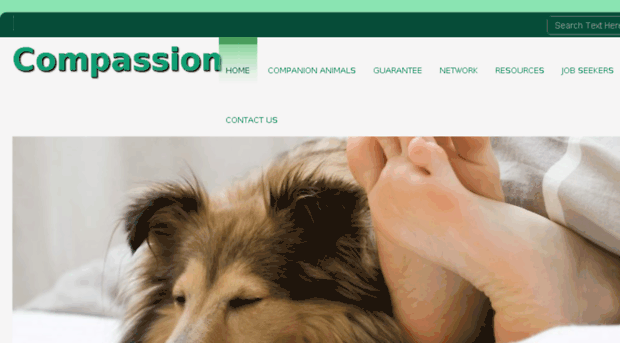 compassioncounselingnetwork.com