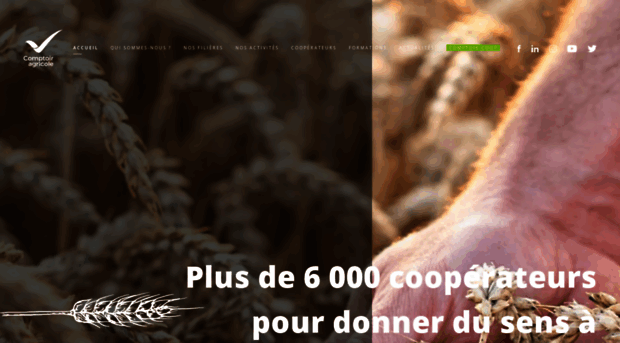 comptoir-agricole.fr