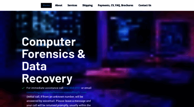 computerforensicsconsultingllc.com