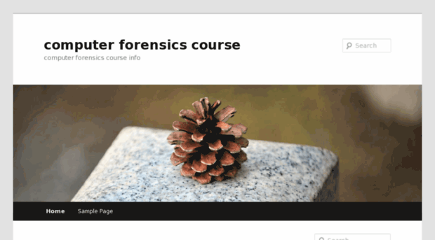 computerforensicscourse.info