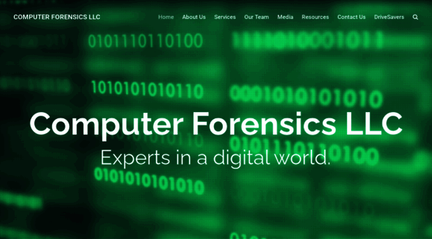 computerforensicsllc.com
