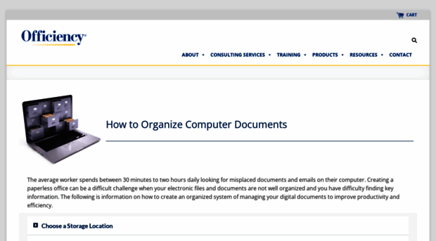 computerorganizing.com