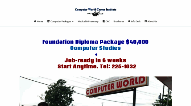 computerworldinstitute.com