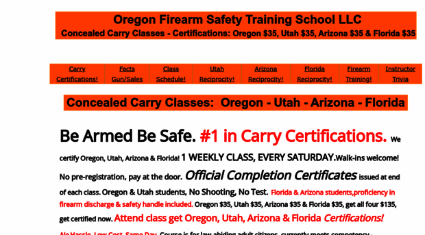 concealcarrygunclass.com