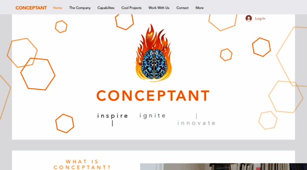 conceptant.com