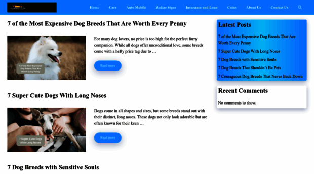 conceptcarorlando.com