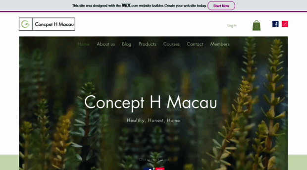 concepthmacau.com