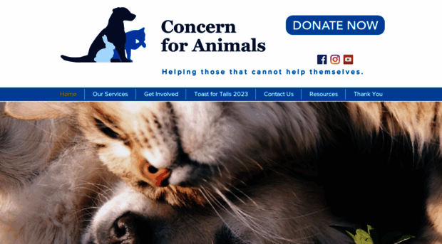 concernforanimals.org