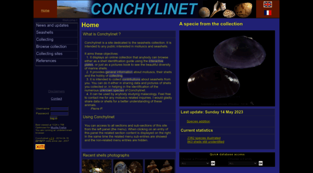 conchylinet.com