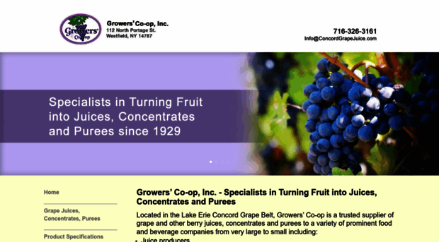 concordgrapejuice.com