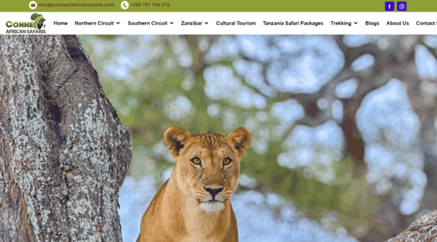 connectafricansafaris.com